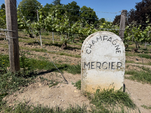 Débouchage canalisation Meyzieu